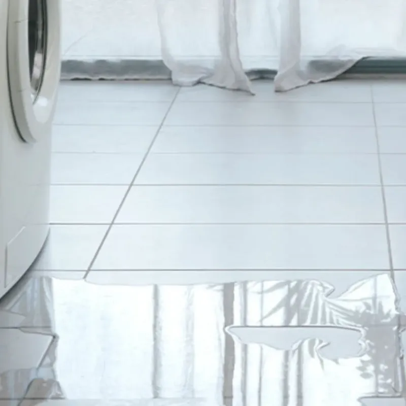 Appliance Leak Cleanup in Palmer, TX