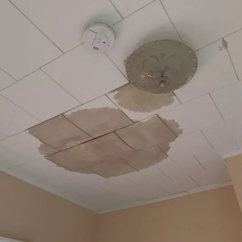 Ceiling Water Damage Repair in Palmer, TX